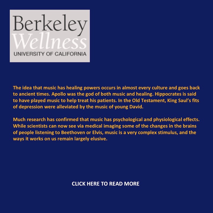 LTDTF Berkeley Wellness New